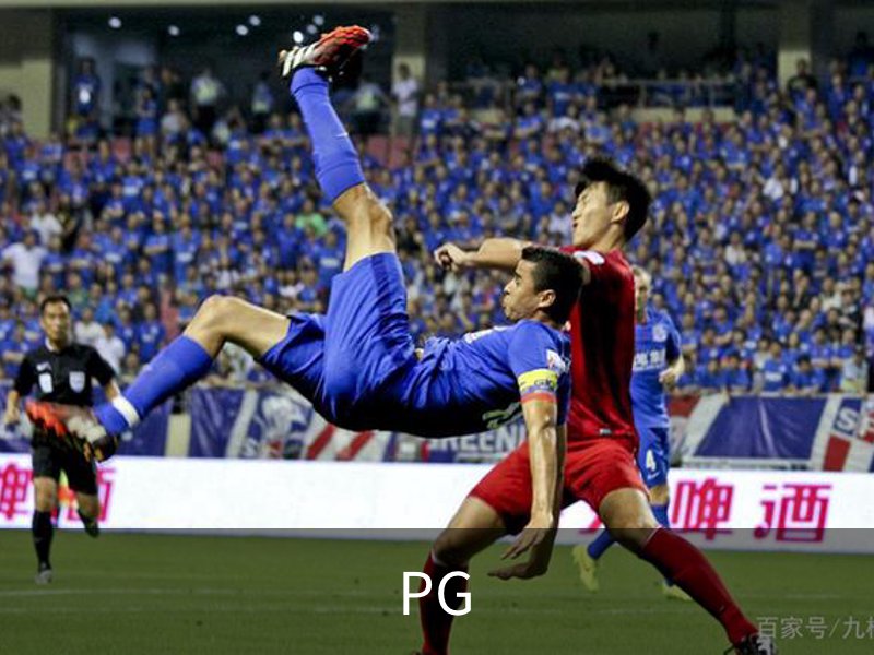 PG概况